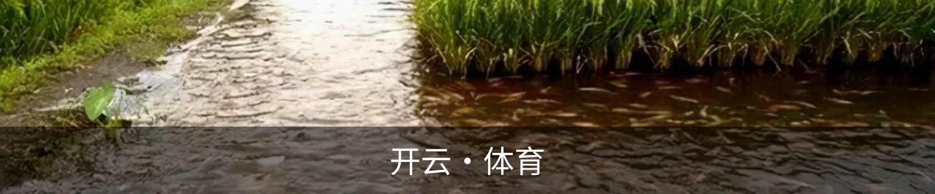 开云·体育(Kaiyun)官网网站_KAIYUNSPORTS